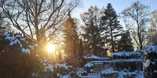 Winterstimmung auf dem Friedhof Winterstimmung auf dem Friedhof